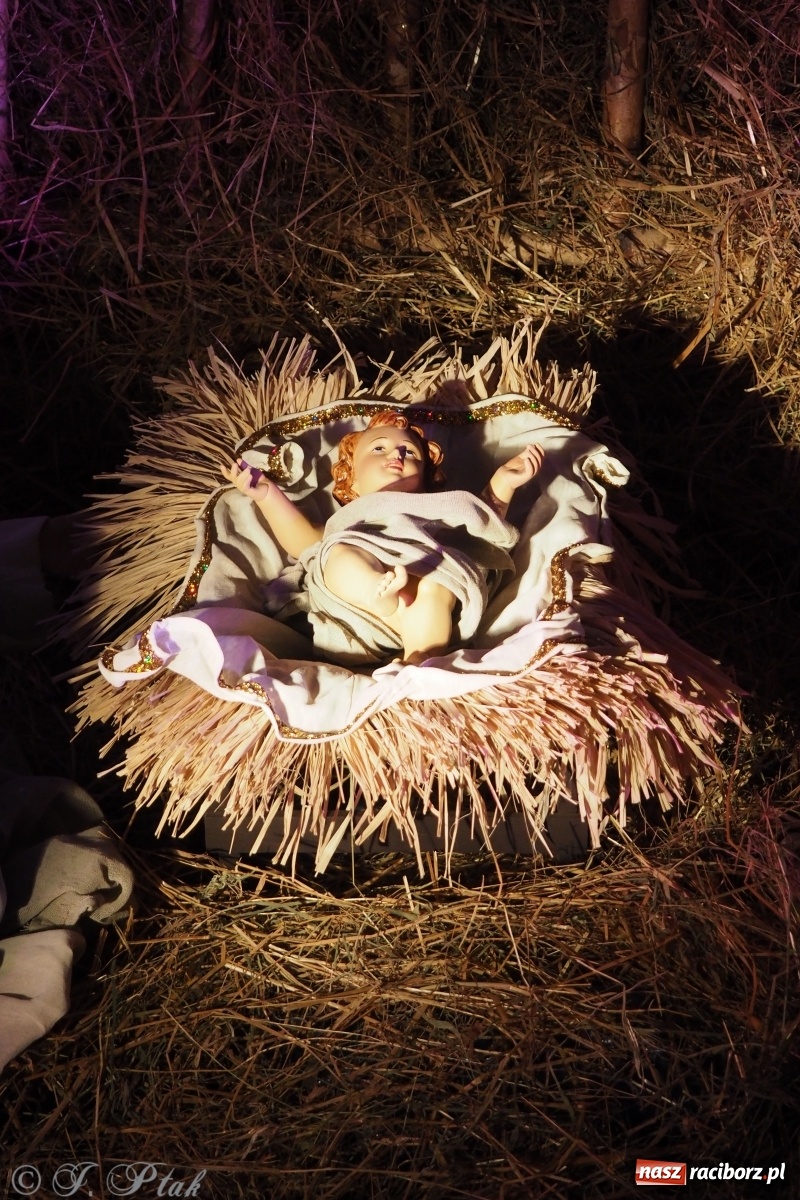 Zdjęcie w galerii na portalu naszraciborz.pl: Szopki w raciborskich kościołach AD 2020 wiadomości z regionu