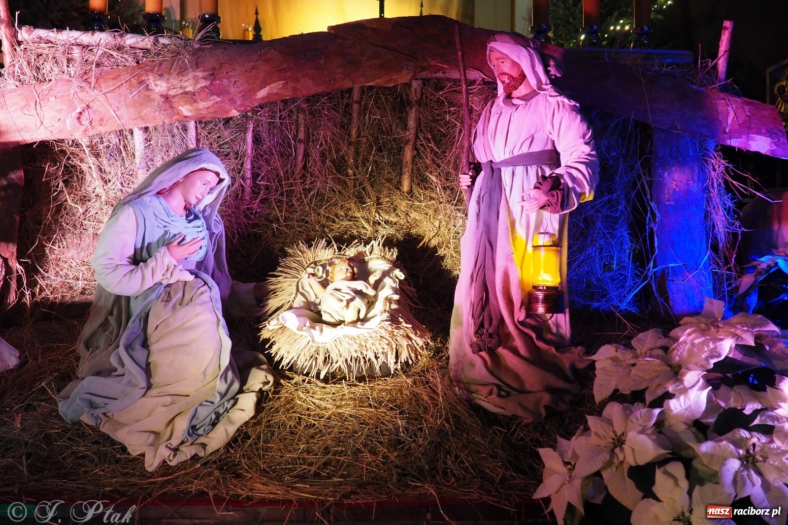 Zdjęcie w galerii na portalu naszraciborz.pl: Szopki w raciborskich kościołach AD 2020 wiadomości z regionu