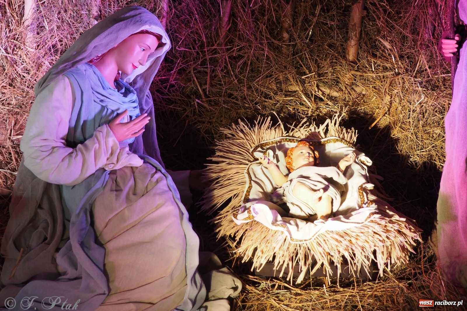 Zdjęcie w galerii na portalu naszraciborz.pl: Szopki w raciborskich kościołach AD 2020 wiadomości z regionu