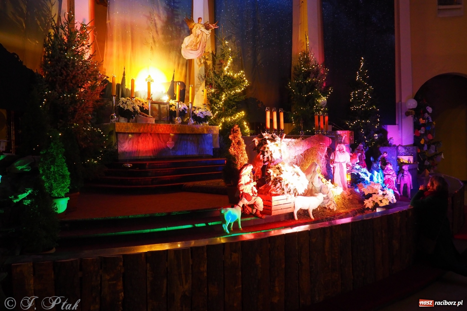 Zdjęcie w galerii na portalu naszraciborz.pl: Szopki w raciborskich kościołach AD 2020 wiadomości z regionu