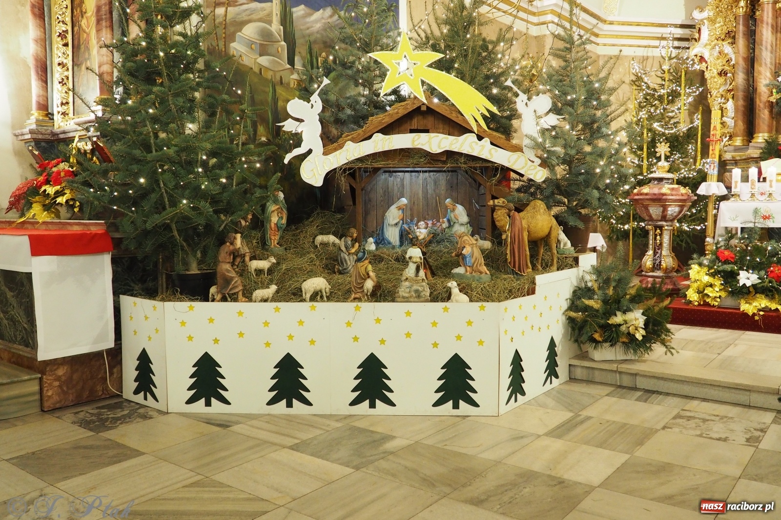 Zdjęcie w galerii na portalu naszraciborz.pl: Szopki w raciborskich kościołach AD 2020 wiadomości z regionu