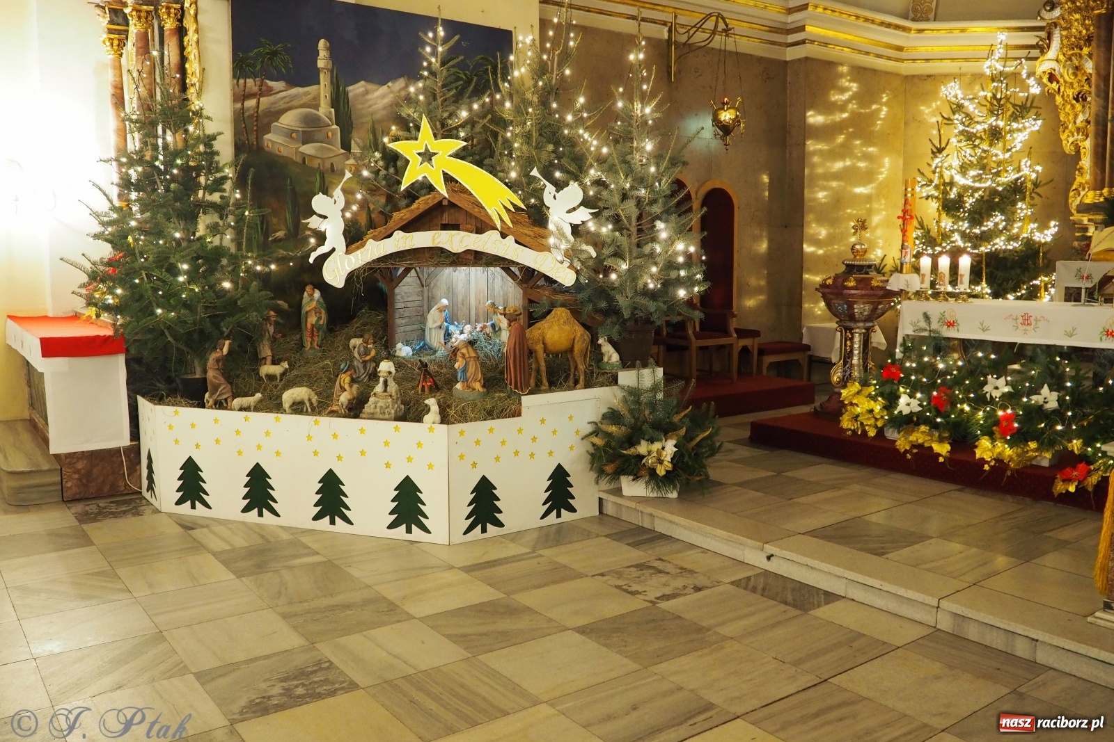 Zdjęcie w galerii na portalu naszraciborz.pl: Szopki w raciborskich kościołach AD 2020 wiadomości z regionu