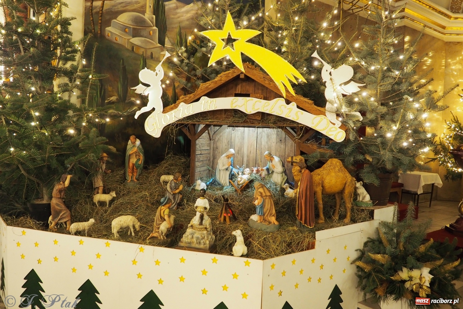 Zdjęcie w galerii na portalu naszraciborz.pl: Szopki w raciborskich kościołach AD 2020 wiadomości z regionu