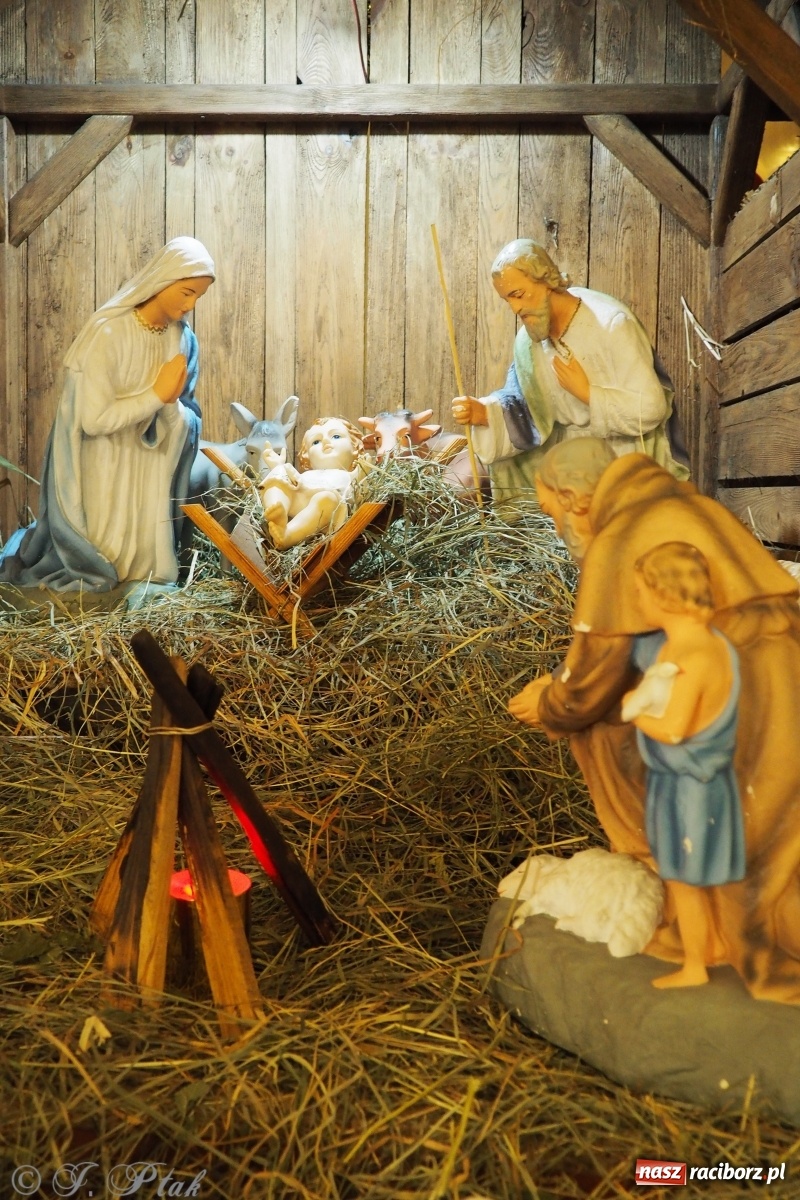 Zdjęcie w galerii na portalu naszraciborz.pl: Szopki w raciborskich kościołach AD 2020 wiadomości z regionu