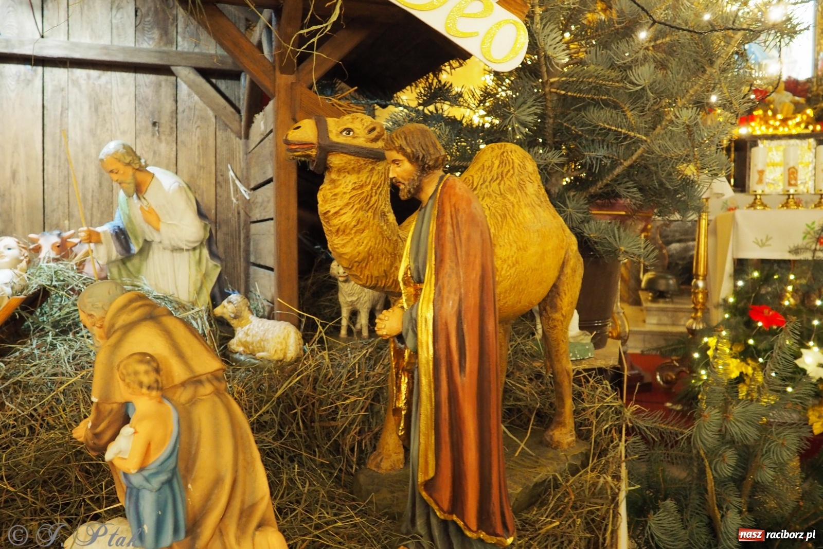 Zdjęcie w galerii na portalu naszraciborz.pl: Szopki w raciborskich kościołach AD 2020 wiadomości z regionu