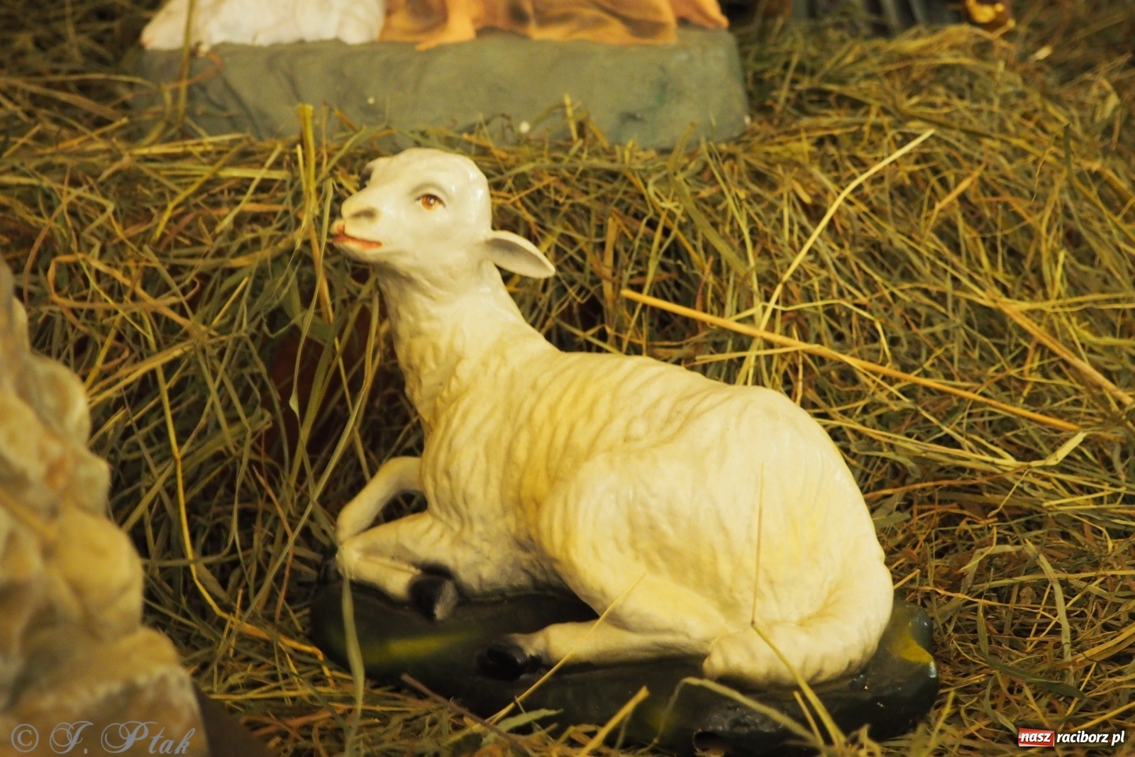 Zdjęcie w galerii na portalu naszraciborz.pl: Szopki w raciborskich kościołach AD 2020 wiadomości z regionu