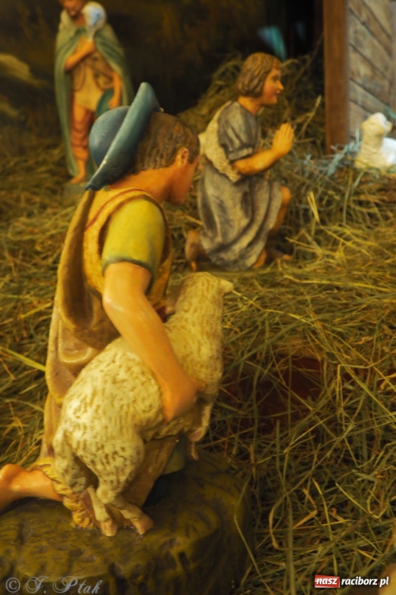 Zdjęcie w galerii na portalu naszraciborz.pl: Szopki w raciborskich kościołach AD 2020 wiadomości z regionu