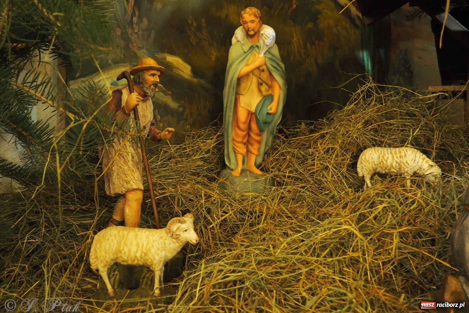 Zdjęcie w galerii na portalu naszraciborz.pl: Szopki w raciborskich kościołach AD 2020 wiadomości z regionu