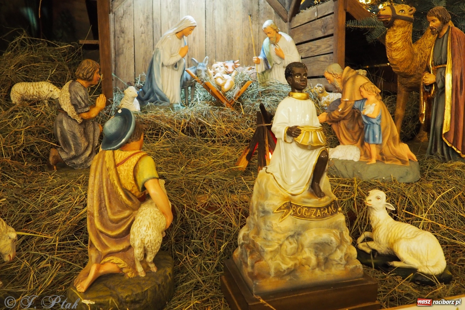 Zdjęcie w galerii na portalu naszraciborz.pl: Szopki w raciborskich kościołach AD 2020 wiadomości z regionu