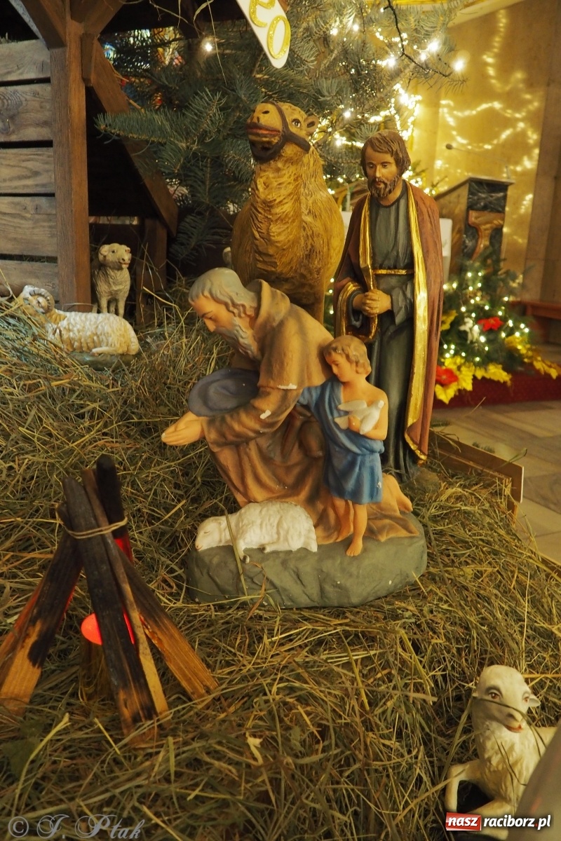 Zdjęcie w galerii na portalu naszraciborz.pl: Szopki w raciborskich kościołach AD 2020 wiadomości z regionu
