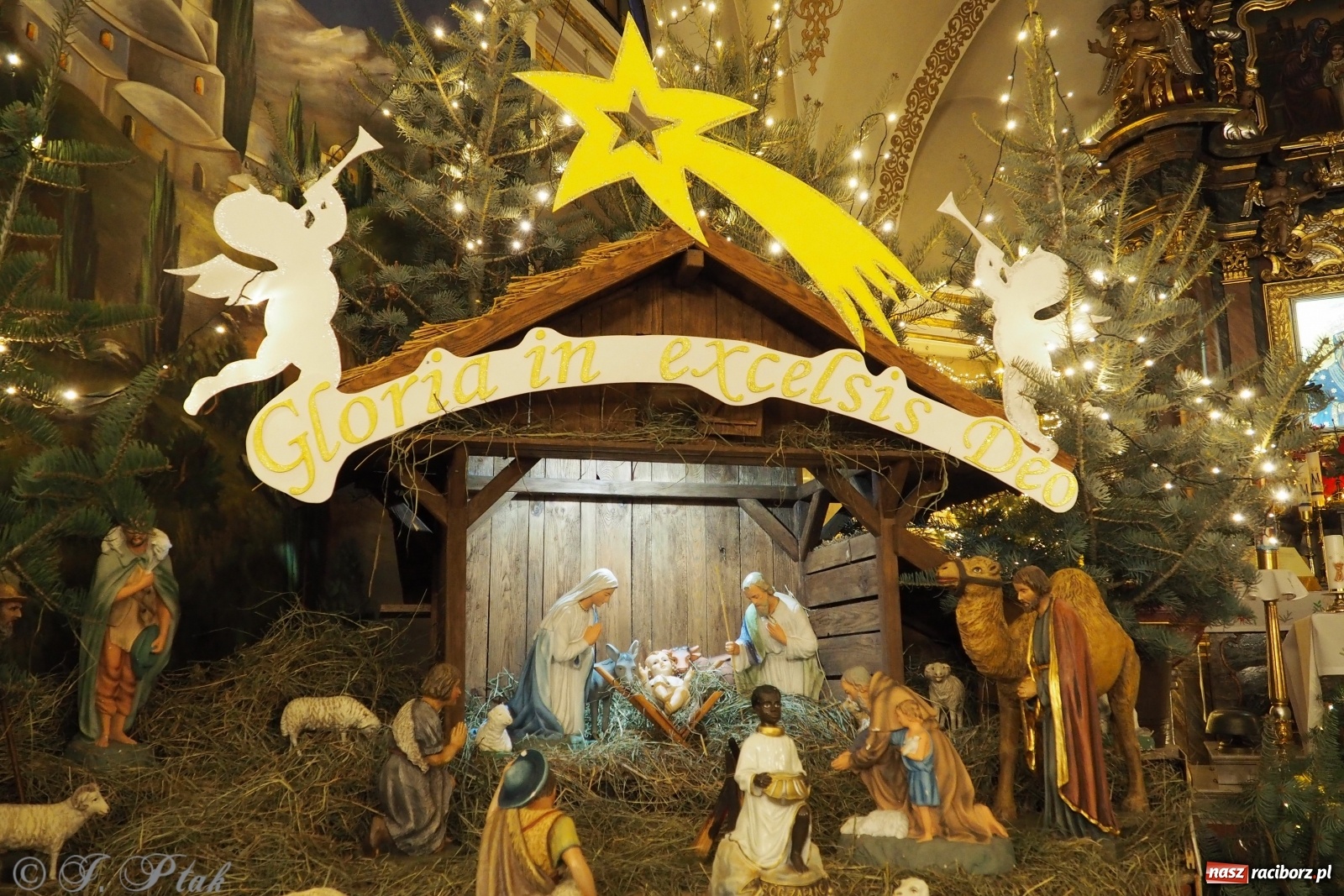 Zdjęcie w galerii na portalu naszraciborz.pl: Szopki w raciborskich kościołach AD 2020 wiadomości z regionu