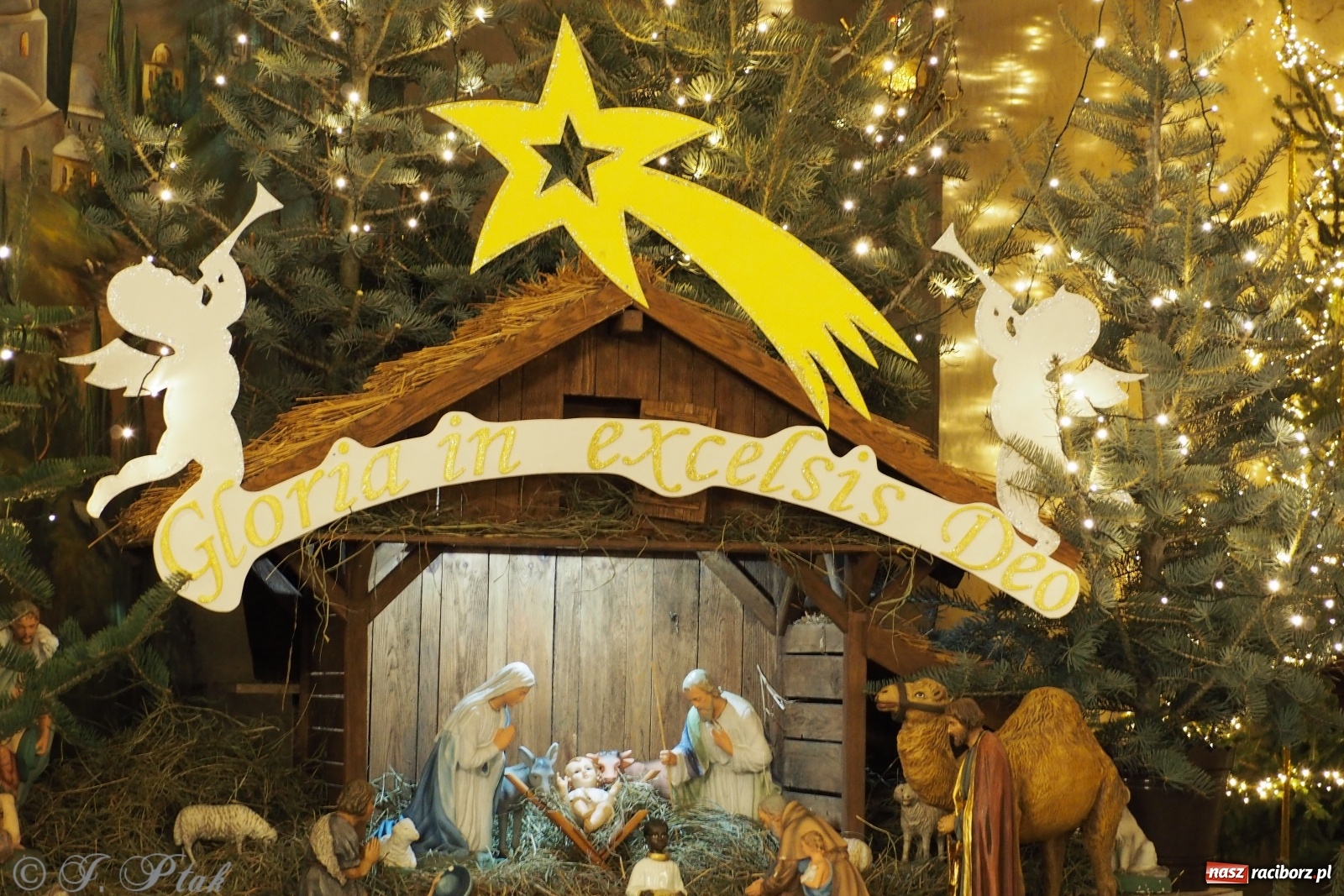 Zdjęcie w galerii na portalu naszraciborz.pl: Szopki w raciborskich kościołach AD 2020 wiadomości z regionu