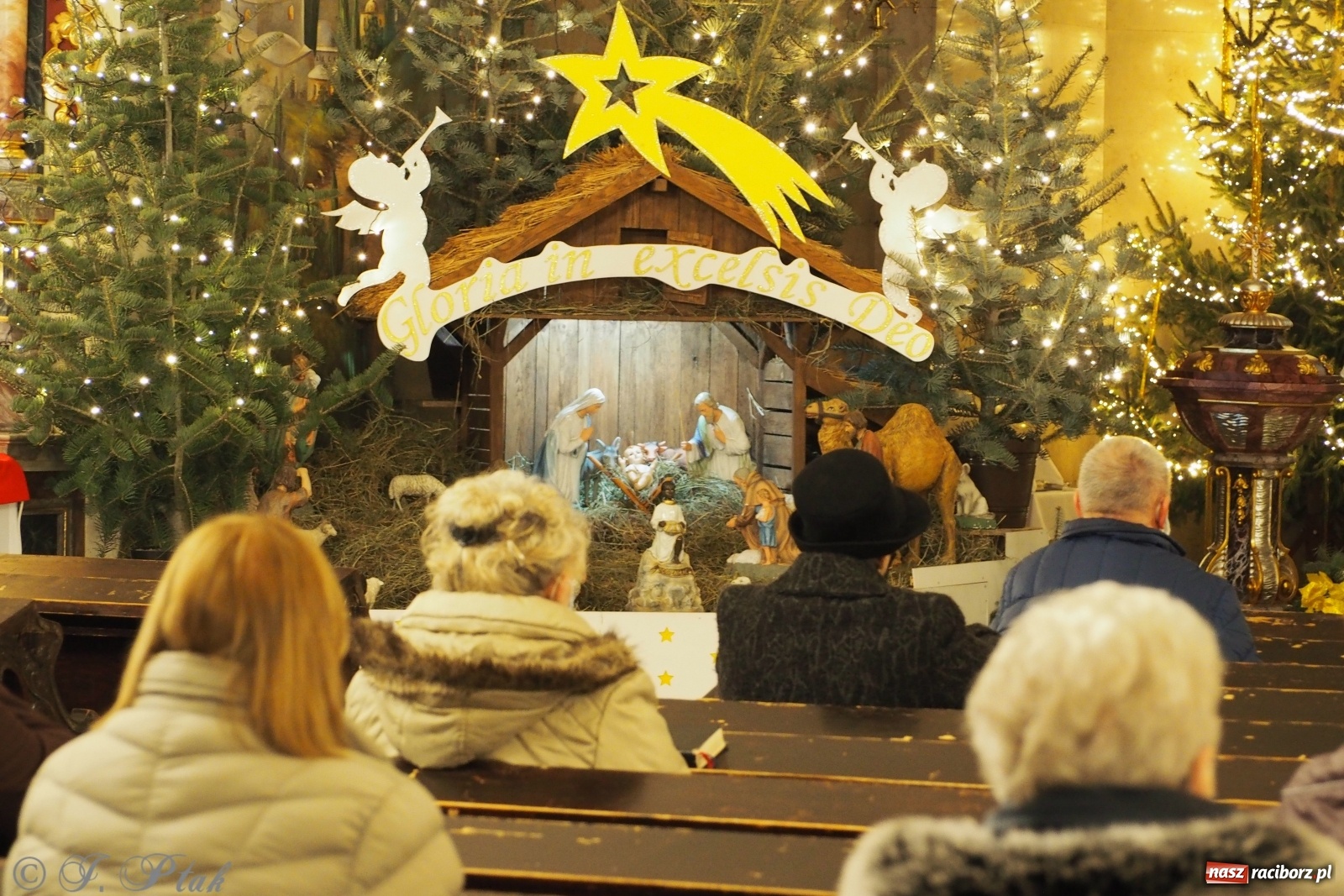 Zdjęcie w galerii na portalu naszraciborz.pl: Szopki w raciborskich kościołach AD 2020 wiadomości z regionu