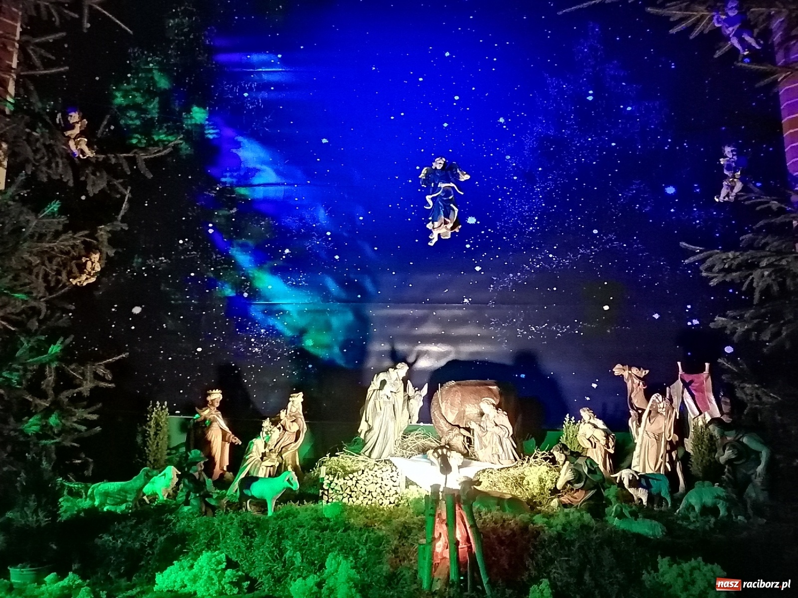 Zdjęcie w galerii na portalu naszraciborz.pl: Szopki w raciborskich kościołach AD 2020 wiadomości z regionu