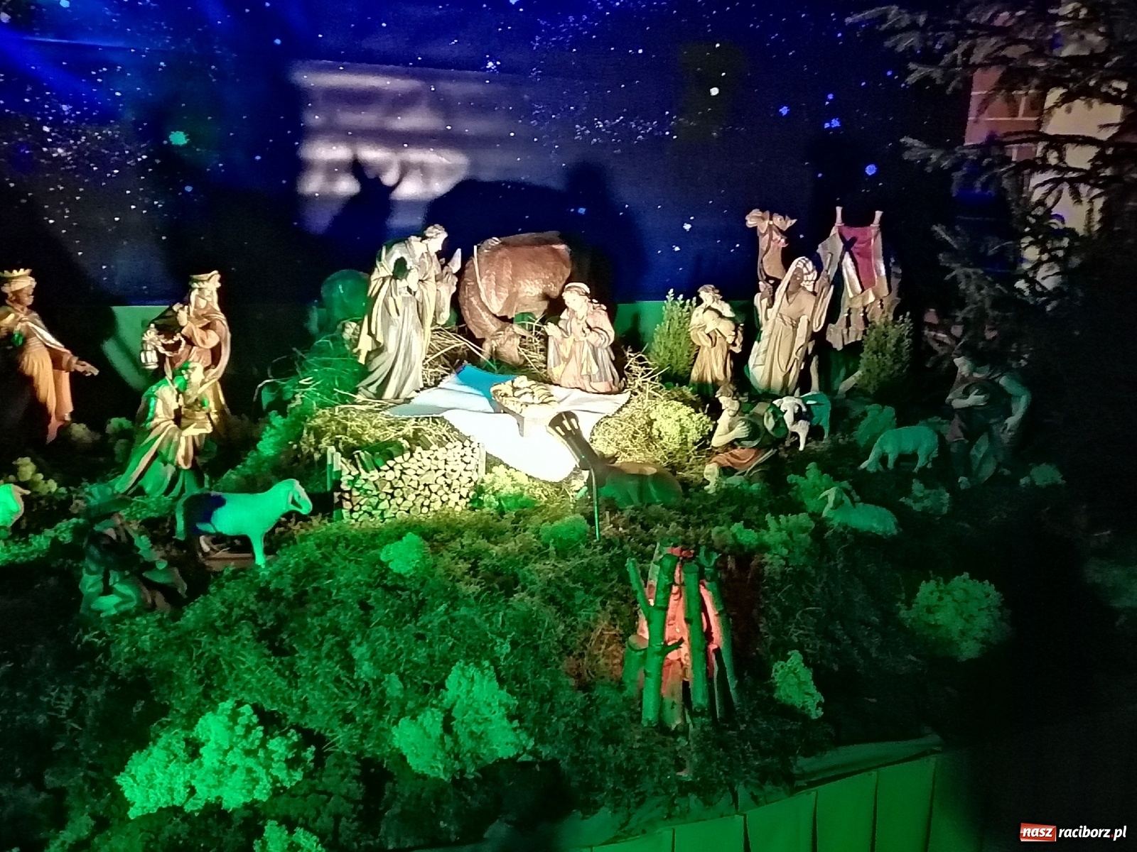 Zdjęcie w galerii na portalu naszraciborz.pl: Szopki w raciborskich kościołach AD 2020 wiadomości z regionu