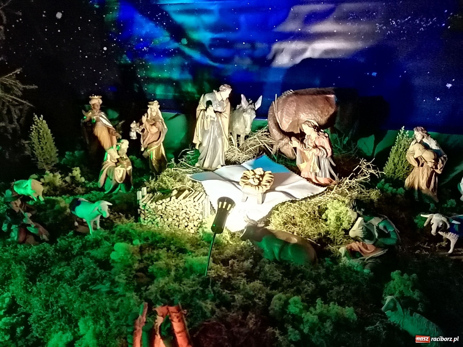 Zdjęcie w galerii na portalu naszraciborz.pl: Szopki w raciborskich kościołach AD 2020 wiadomości z regionu