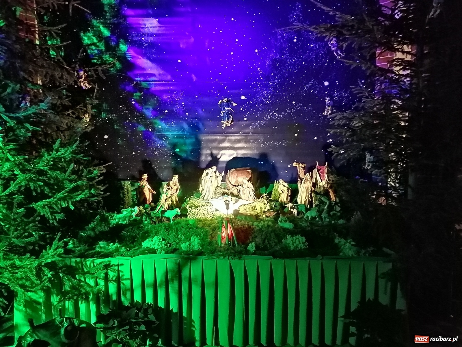 Zdjęcie w galerii na portalu naszraciborz.pl: Szopki w raciborskich kościołach AD 2020 wiadomości z regionu