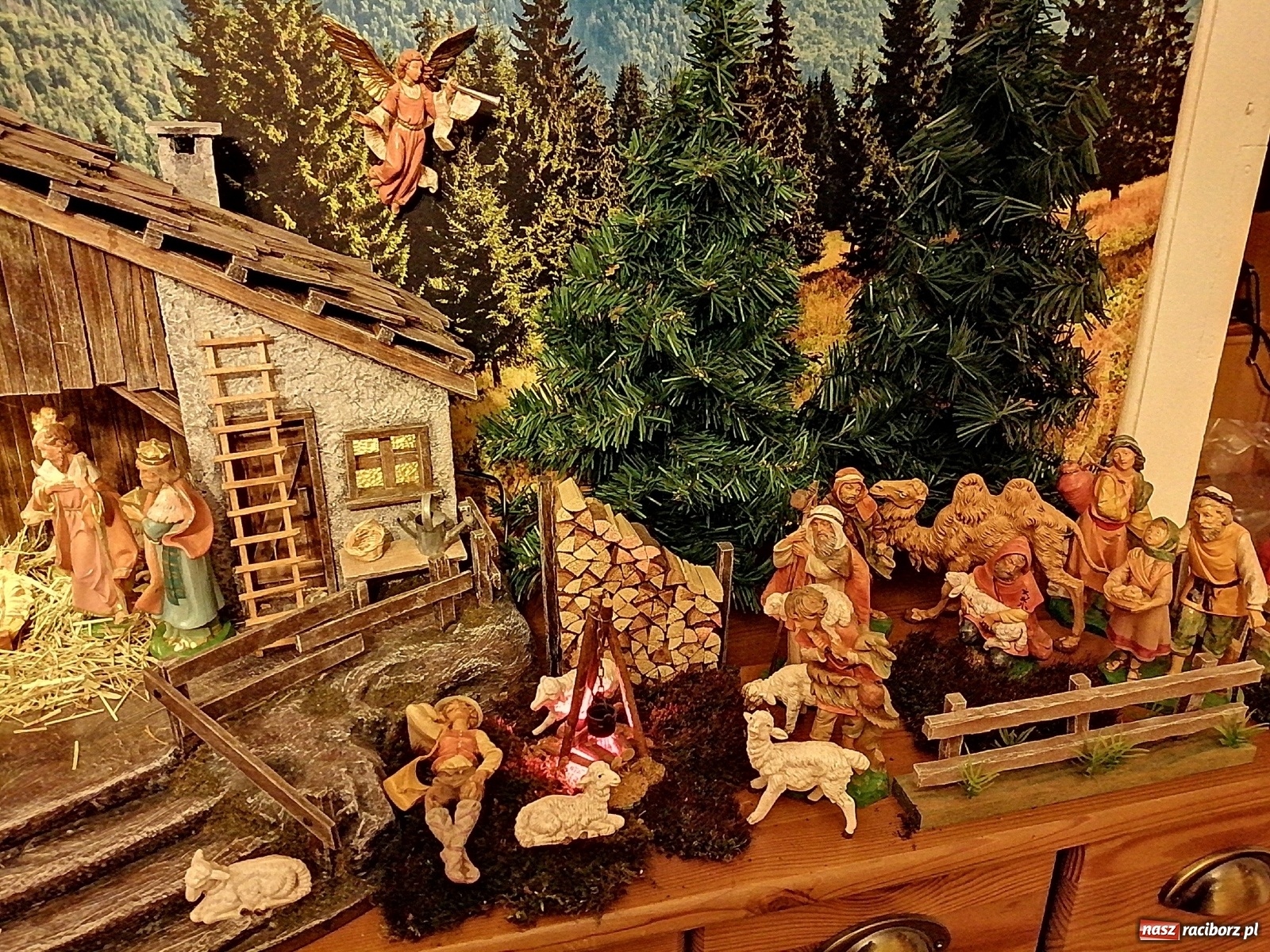 Zdjęcie w galerii na portalu naszraciborz.pl: Szopki w raciborskich kościołach AD 2020 wiadomości z regionu