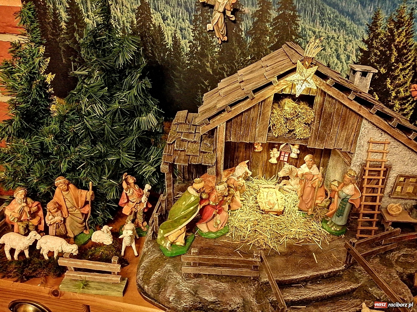 Zdjęcie w galerii na portalu naszraciborz.pl: Szopki w raciborskich kościołach AD 2020 wiadomości z regionu