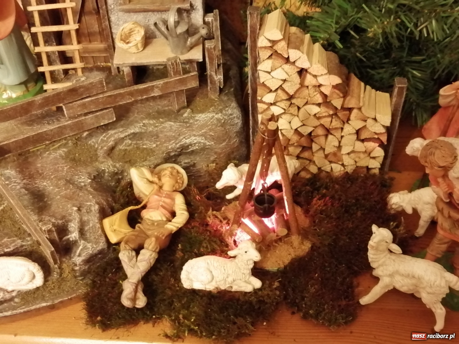 Zdjęcie w galerii na portalu naszraciborz.pl: Szopki w raciborskich kościołach AD 2020 wiadomości z regionu