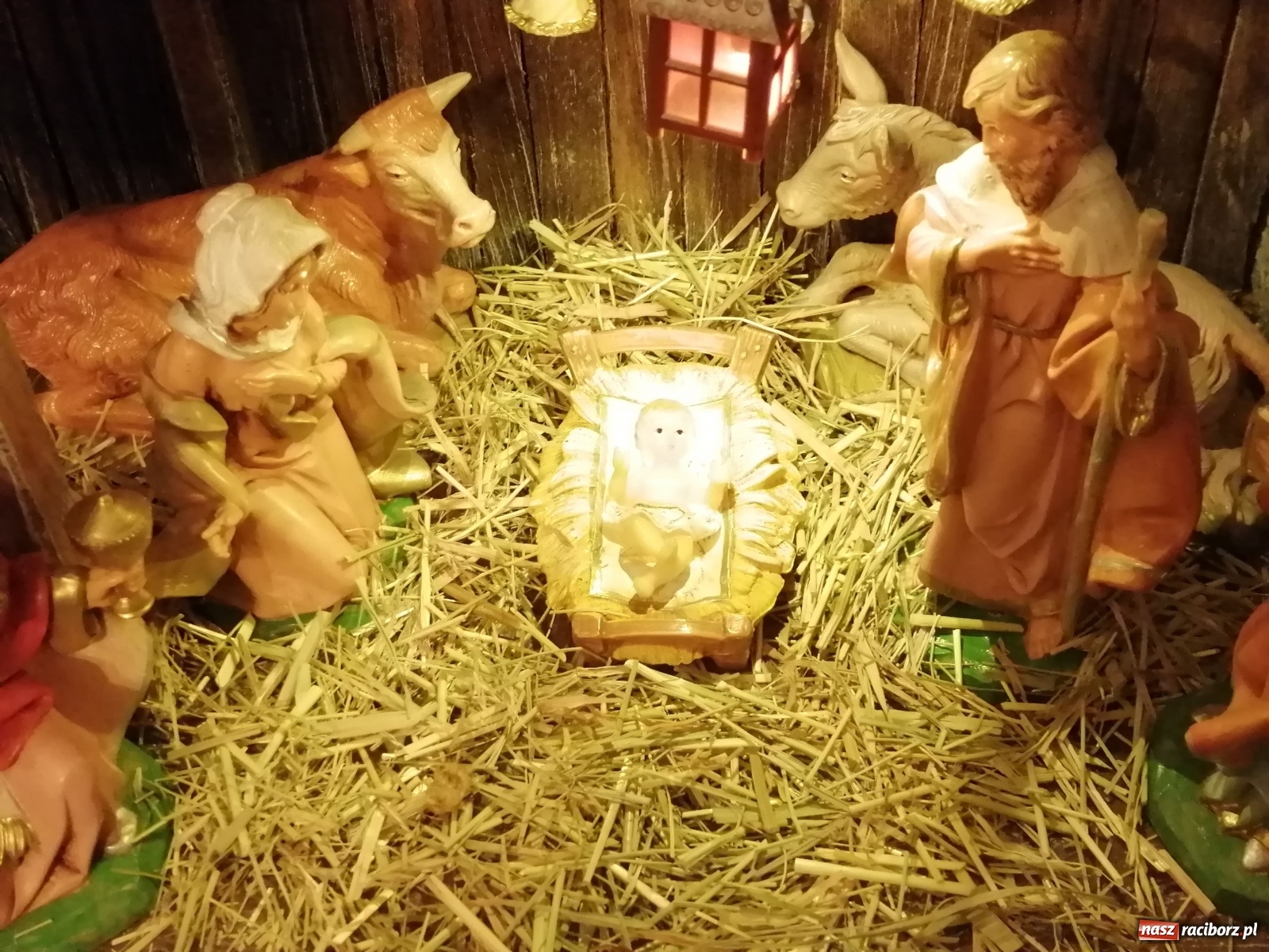 Zdjęcie w galerii na portalu naszraciborz.pl: Szopki w raciborskich kościołach AD 2020 wiadomości z regionu