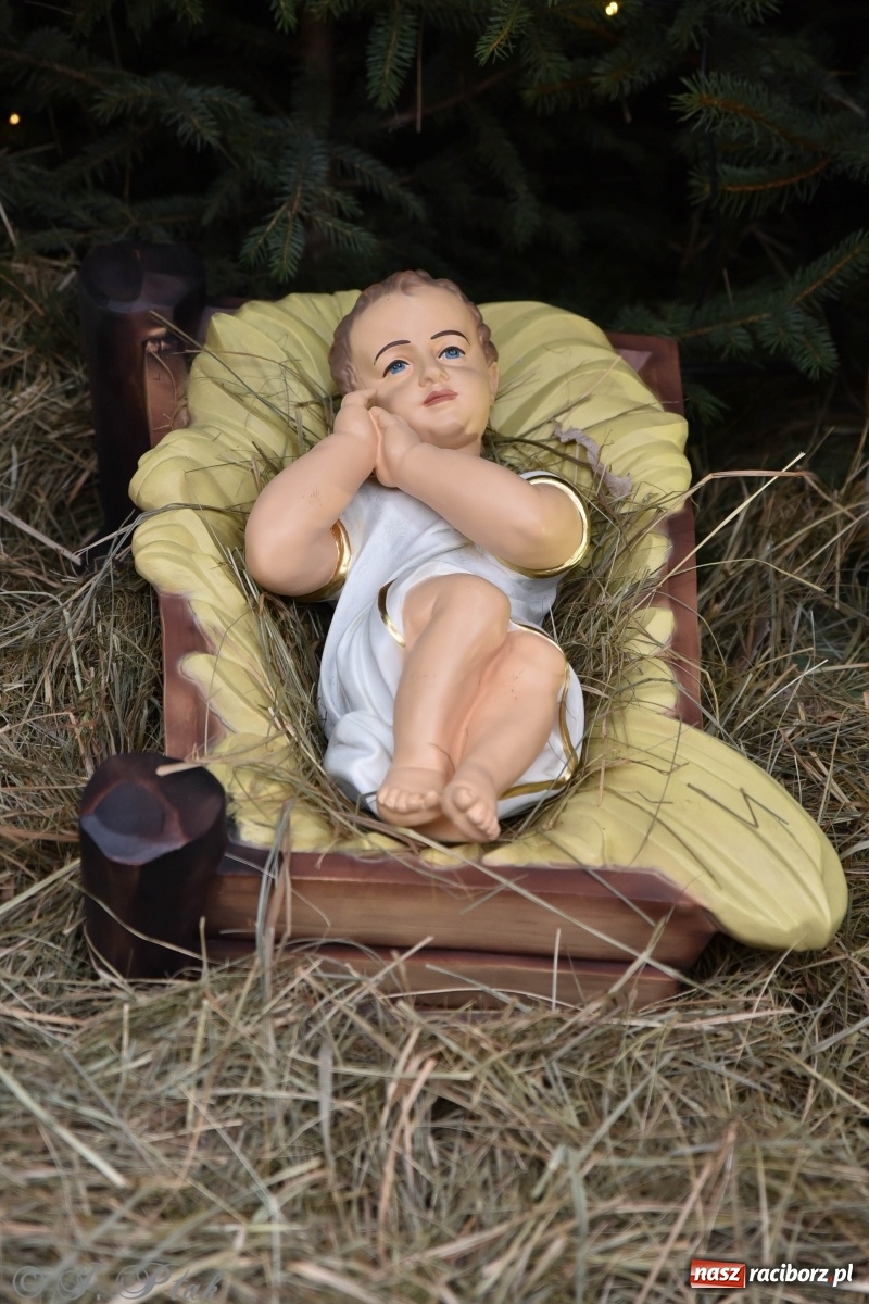 Zdjęcie w galerii na portalu naszraciborz.pl: Szopka z żywymi zwierzętami na Rynku [FOTO] wiadomości z regionu