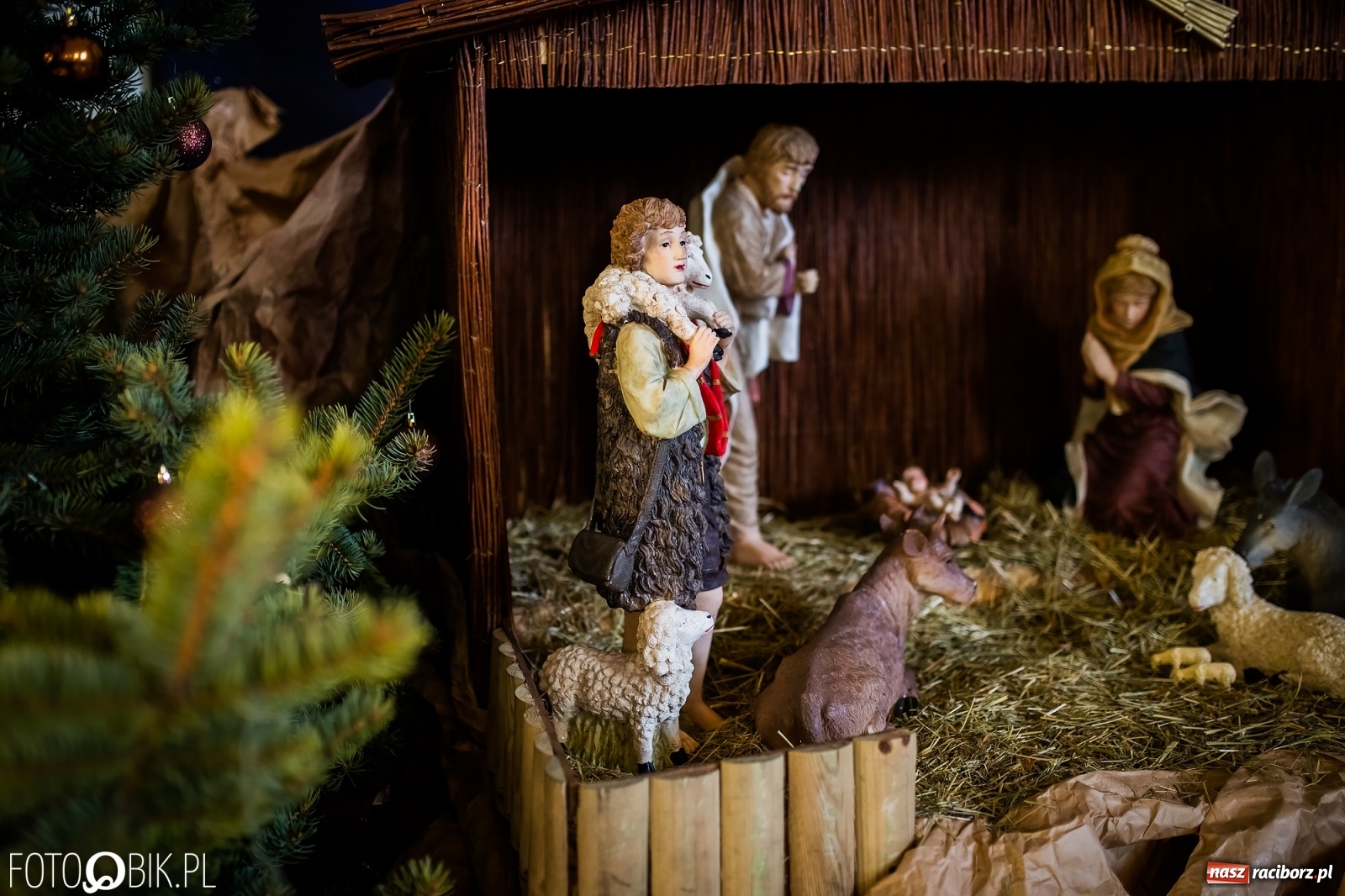 Zdjęcie w galerii na portalu naszraciborz.pl: Szopki bożonarodzeniowe w gminie Krzanowice  wiadomości z regionu