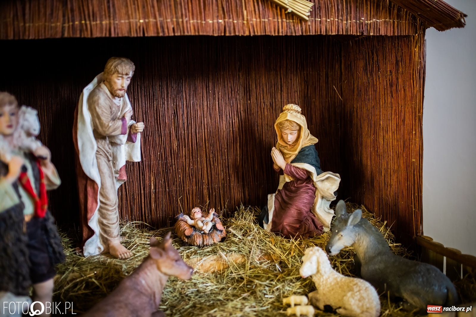 Zdjęcie w galerii na portalu naszraciborz.pl: Szopki bożonarodzeniowe w gminie Krzanowice  wiadomości z regionu