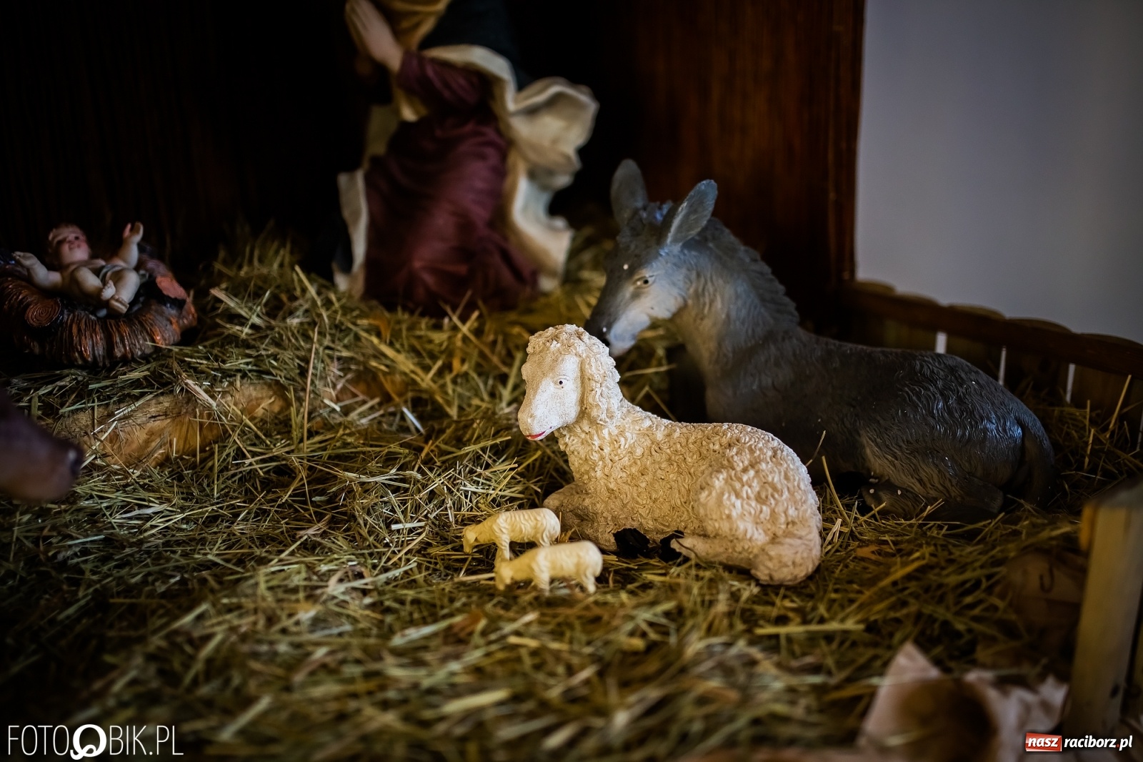 Zdjęcie w galerii na portalu naszraciborz.pl: Szopki bożonarodzeniowe w gminie Krzanowice  wiadomości z regionu