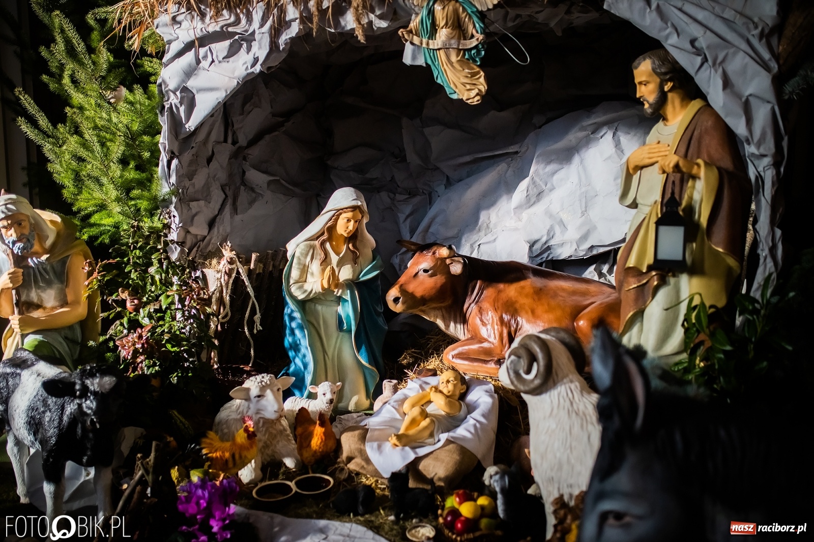 Zdjęcie w galerii na portalu naszraciborz.pl: Szopki bożonarodzeniowe w gminie Krzanowice  wiadomości z regionu