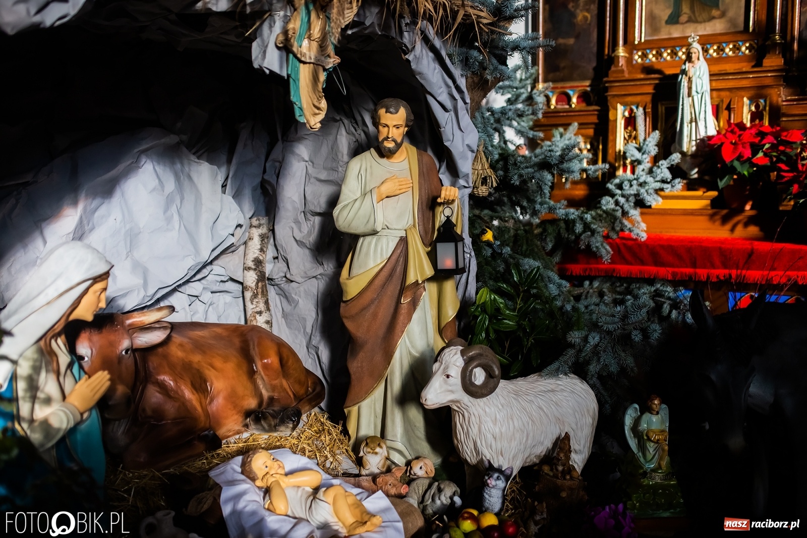 Zdjęcie w galerii na portalu naszraciborz.pl: Szopki bożonarodzeniowe w gminie Krzanowice  wiadomości z regionu