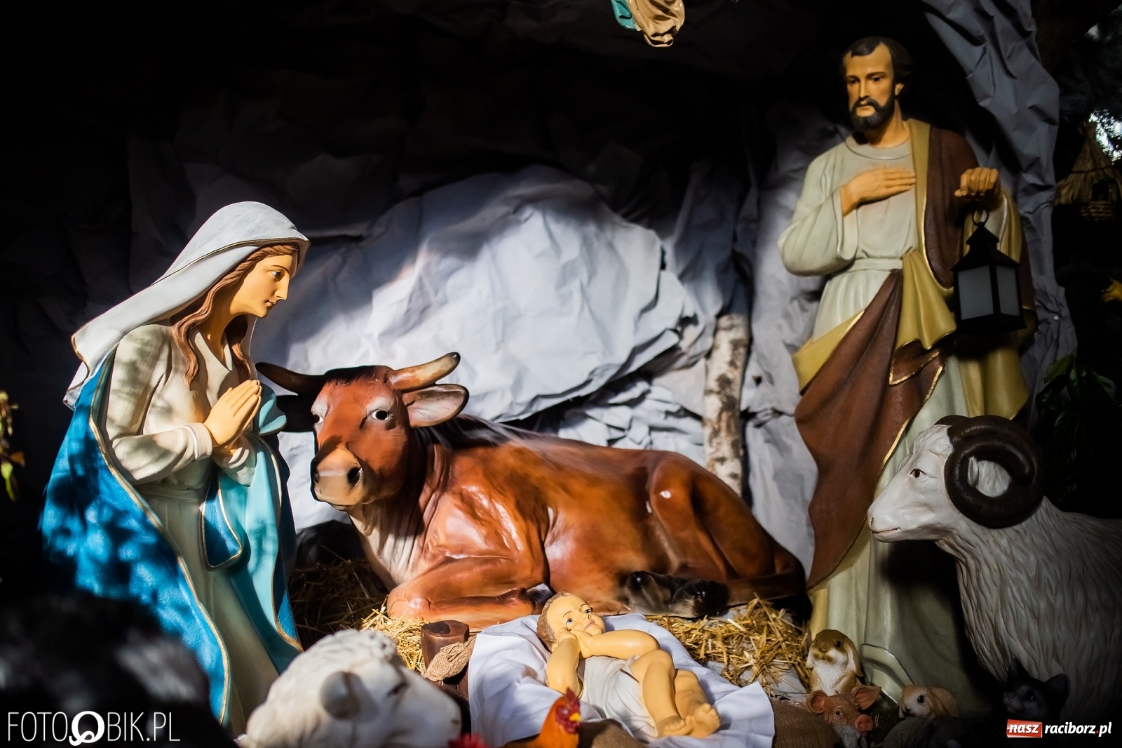 Zdjęcie w galerii na portalu naszraciborz.pl: Szopki bożonarodzeniowe w gminie Krzanowice  wiadomości z regionu