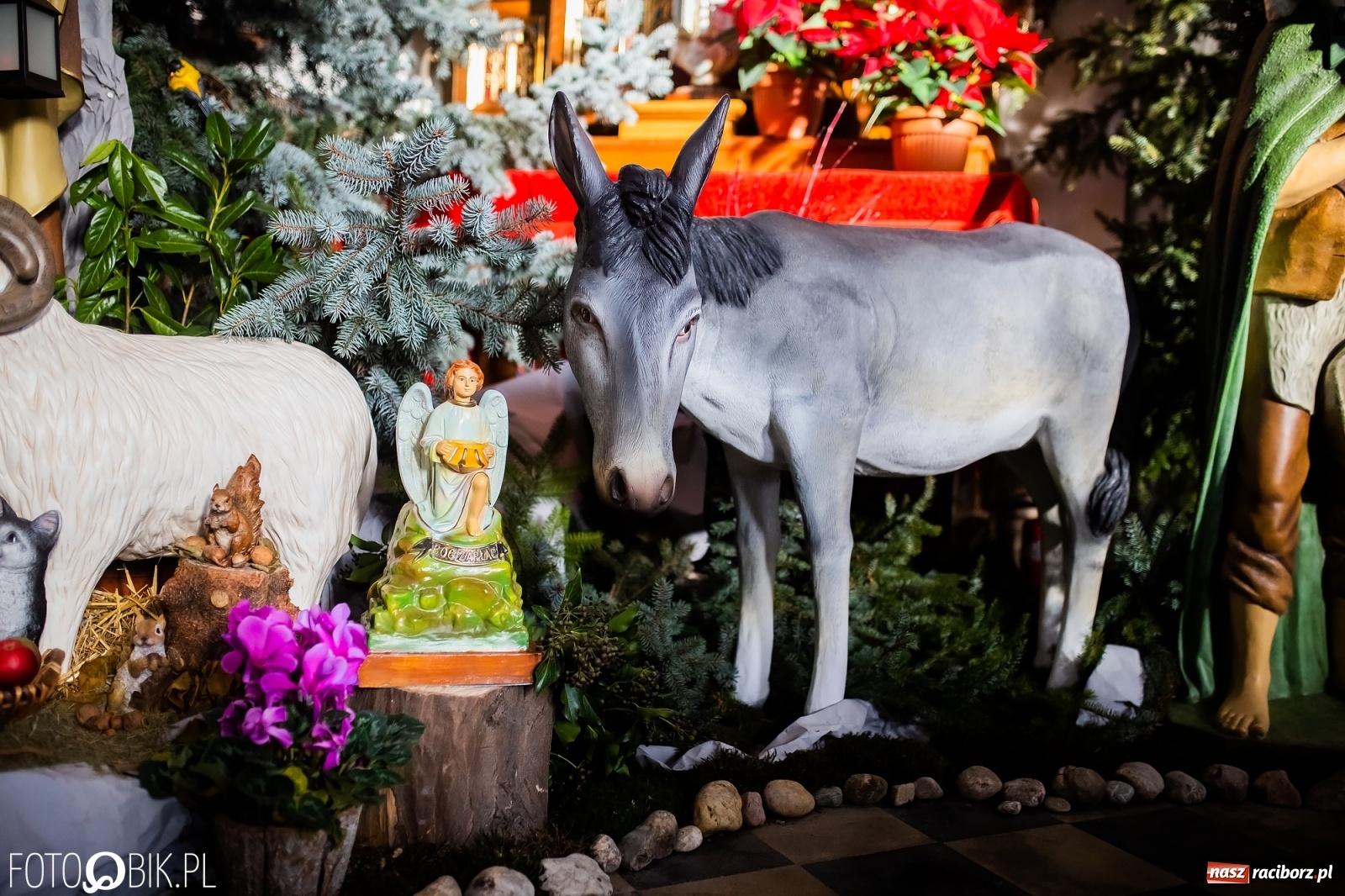 Zdjęcie w galerii na portalu naszraciborz.pl: Szopki bożonarodzeniowe w gminie Krzanowice  wiadomości z regionu