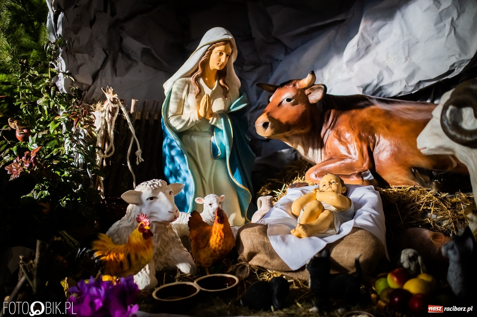 Zdjęcie w galerii na portalu naszraciborz.pl: Szopki bożonarodzeniowe w gminie Krzanowice  wiadomości z regionu