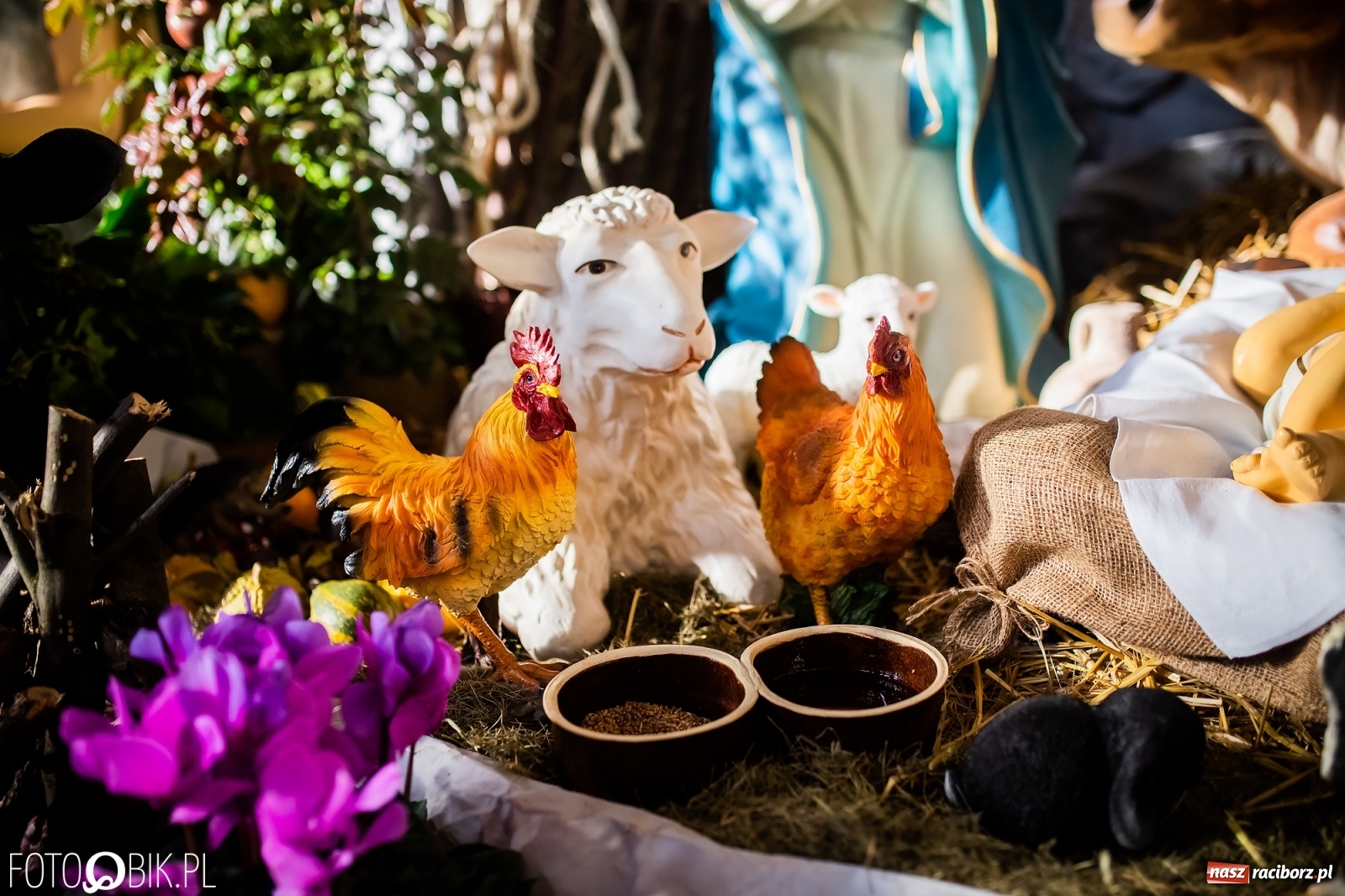 Zdjęcie w galerii na portalu naszraciborz.pl: Szopki bożonarodzeniowe w gminie Krzanowice  wiadomości z regionu