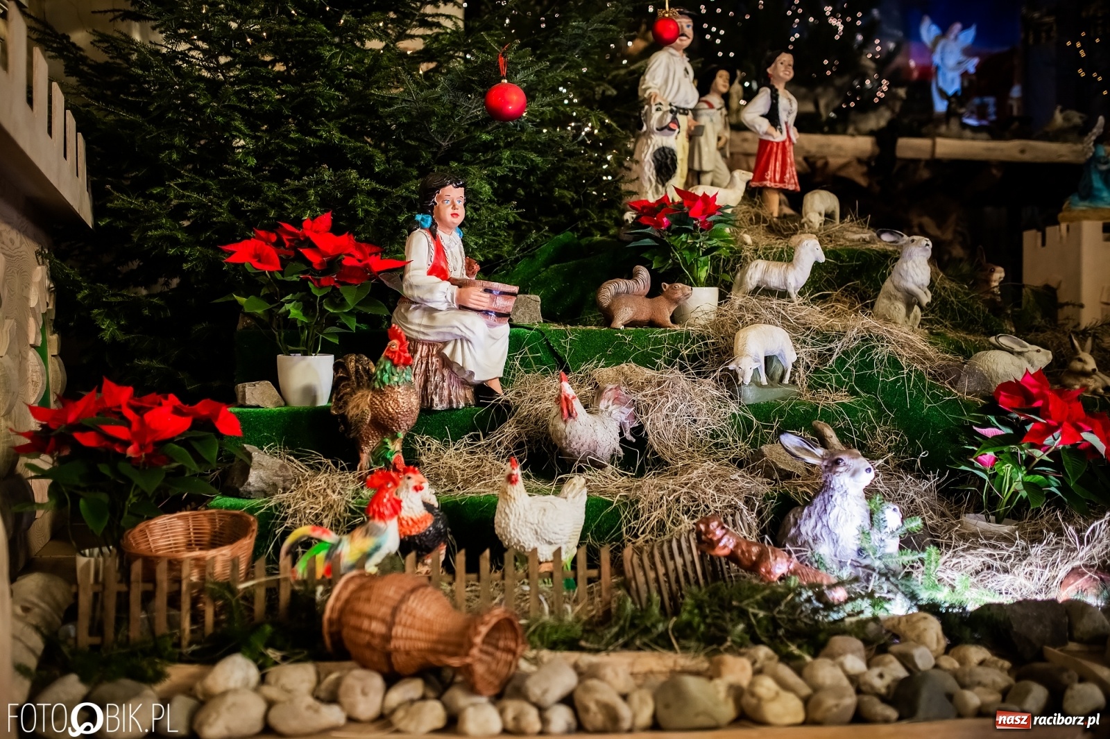 Zdjęcie w galerii na portalu naszraciborz.pl: Szopki bożonarodzeniowe w gminie Krzanowice  wiadomości z regionu