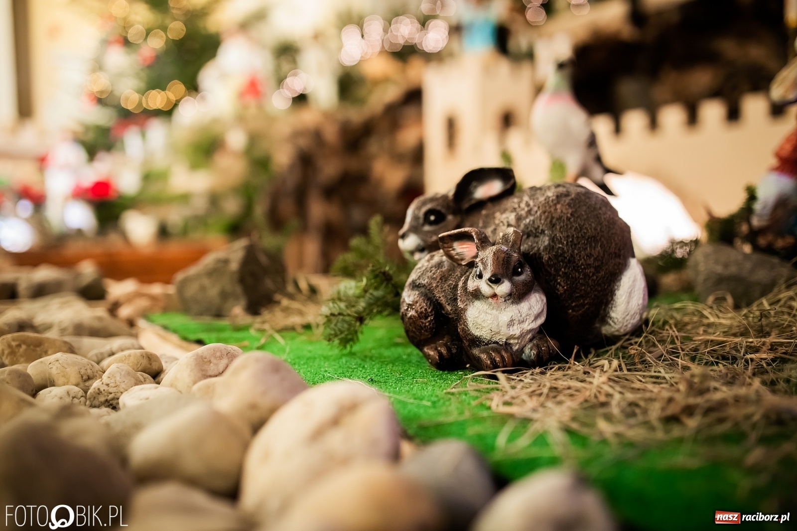 Zdjęcie w galerii na portalu naszraciborz.pl: Szopki bożonarodzeniowe w gminie Krzanowice  wiadomości z regionu