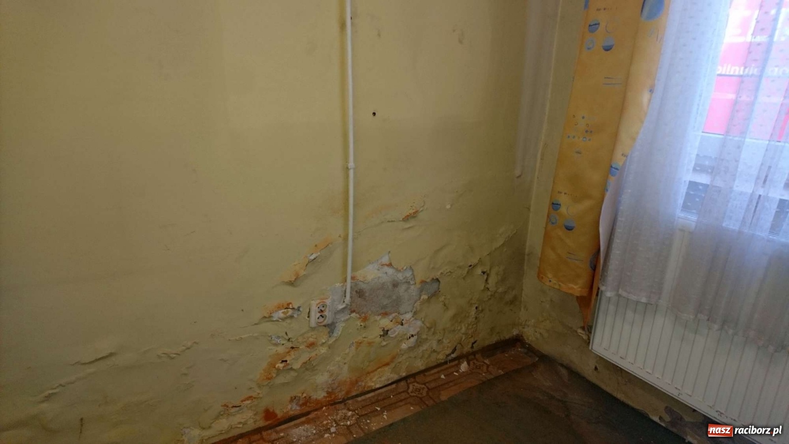 Zdjęcie w galerii na portalu naszraciborz.pl: Minął już rok Źródła w nowej siedzibie.  wiadomości z regionu