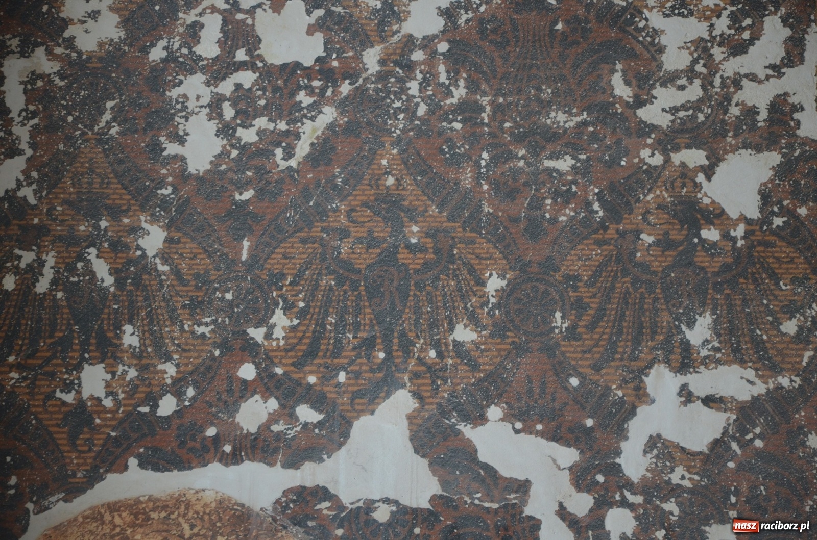 Zdjęcie w galerii na portalu naszraciborz.pl: Tak wyglądają wnętrza odnowionego dawnego sądu krajowego  wiadomości z regionu