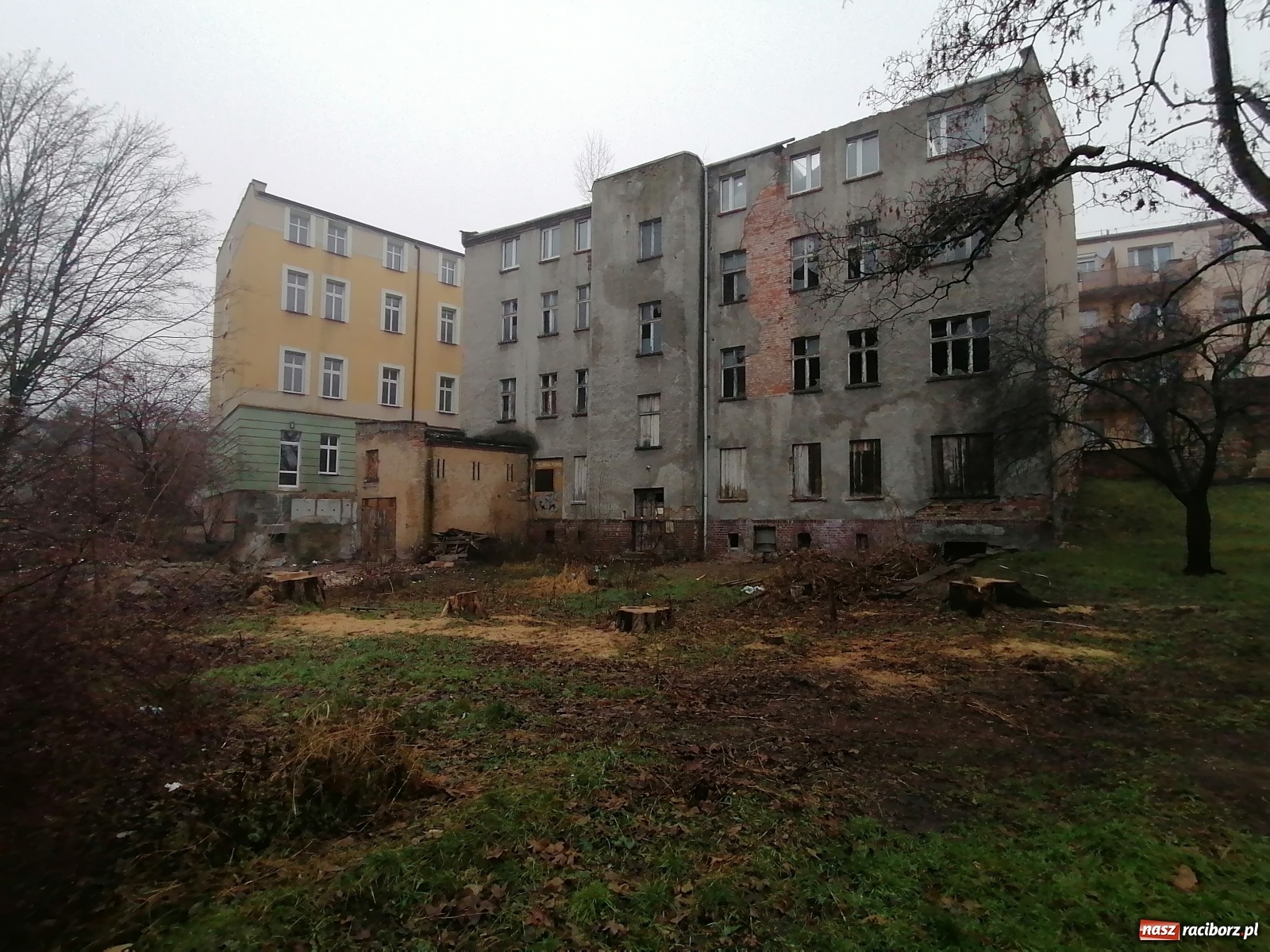 Zdjęcie w galerii na portalu naszraciborz.pl: Jest reakcja właścicieli kamienicy przy Drzymały [FOTO] wiadomości z regionu