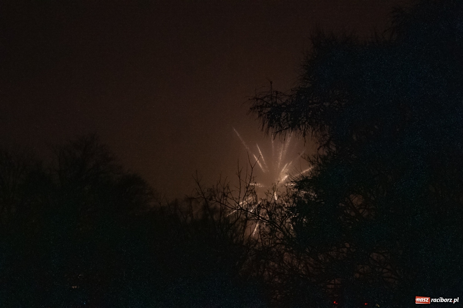 Zdjęcie w galerii na portalu naszraciborz.pl: Raciborzanie na domówkach powitali nowy rok. Nieliczni na Rynku [FOTO, WIDEO] wiadomości z regionu