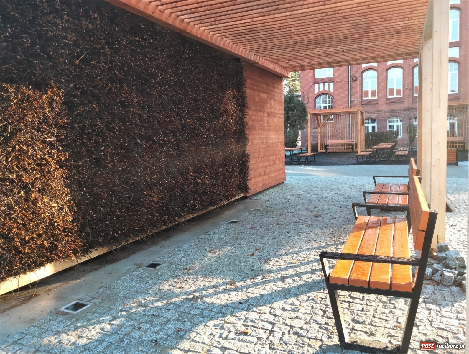 Zdjęcie w galerii na portalu naszraciborz.pl: Racibórz ma pierwszą tężnię solankową. W planach druga wiadomości z regionu