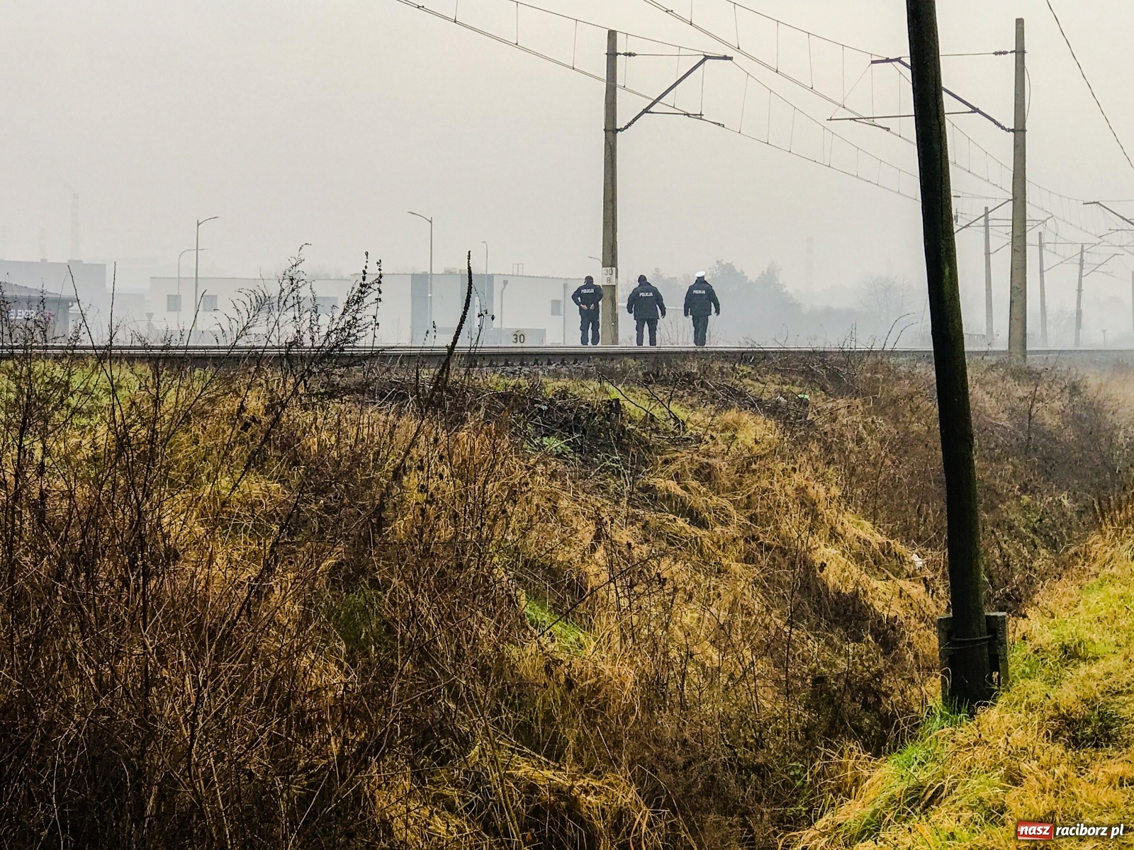 Zdjęcie w galerii na portalu naszraciborz.pl: Śmiertelne potrącenie na trasie Racibórz-Markowice [FOTO] wiadomości z regionu
