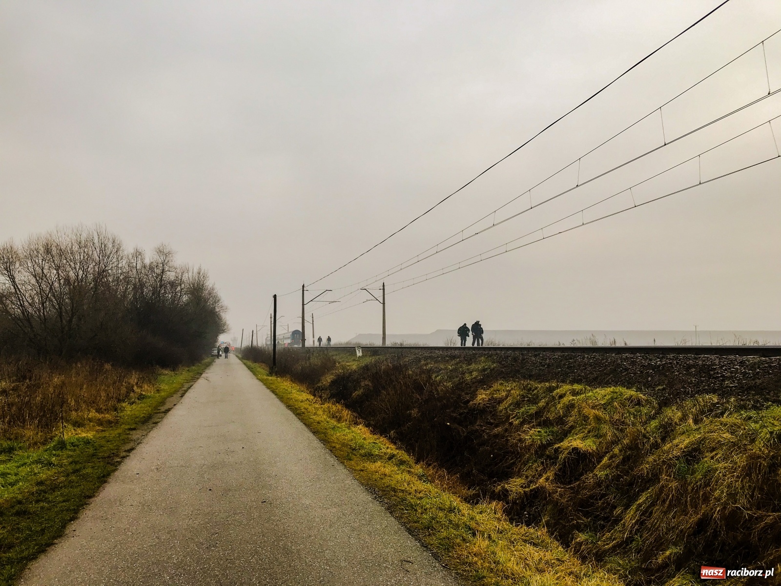 Zdjęcie w galerii na portalu naszraciborz.pl: Śmiertelne potrącenie na trasie Racibórz-Markowice [FOTO] wiadomości z regionu