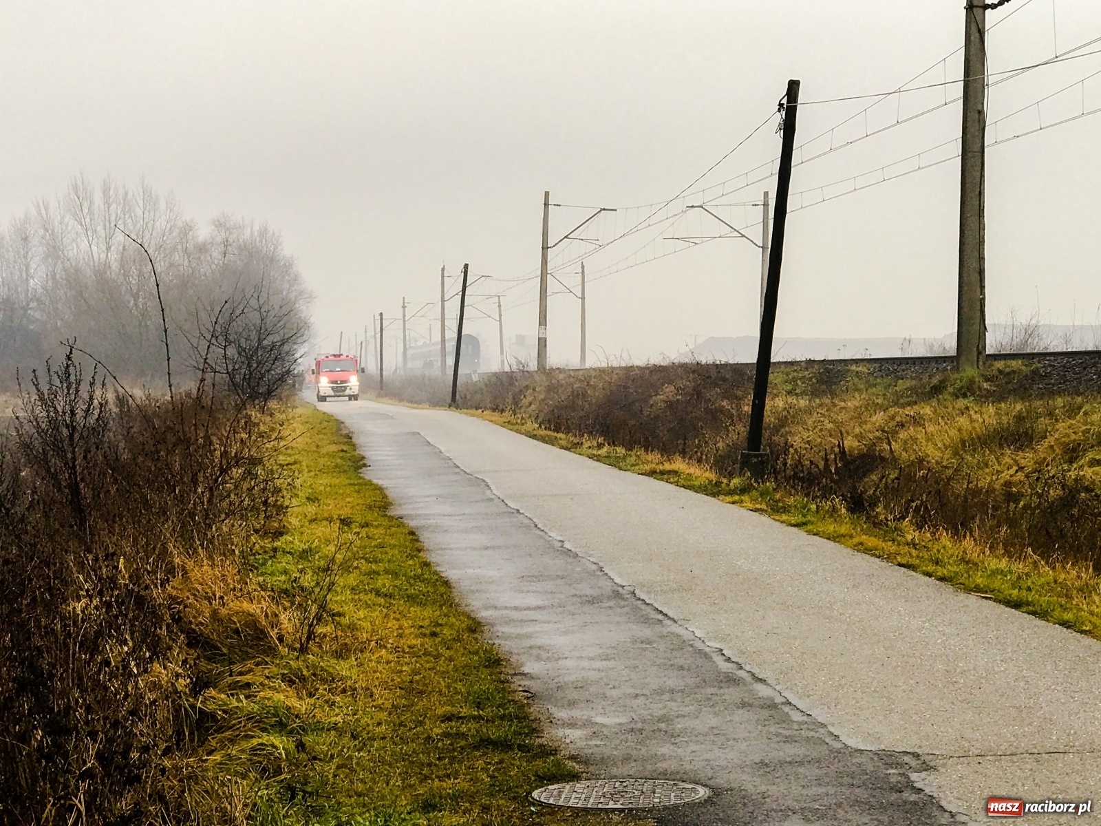 Zdjęcie w galerii na portalu naszraciborz.pl: Śmiertelne potrącenie na trasie Racibórz-Markowice [FOTO] wiadomości z regionu