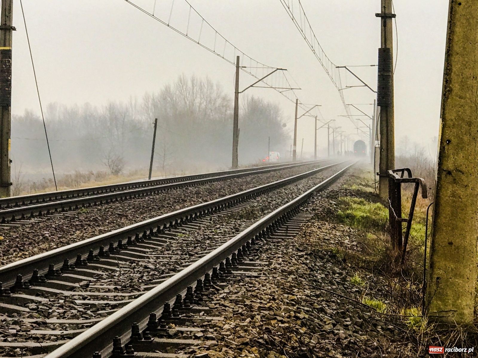 Zdjęcie w galerii na portalu naszraciborz.pl: Śmiertelne potrącenie na trasie Racibórz-Markowice [FOTO] wiadomości z regionu