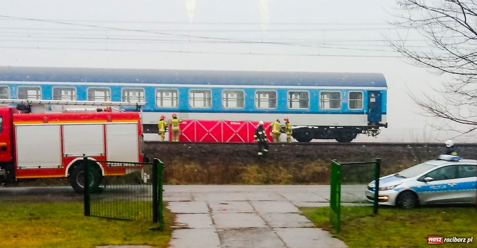 Zdjęcie w galerii na portalu naszraciborz.pl: Śmiertelne potrącenie na trasie Racibórz-Markowice [FOTO] wiadomości z regionu