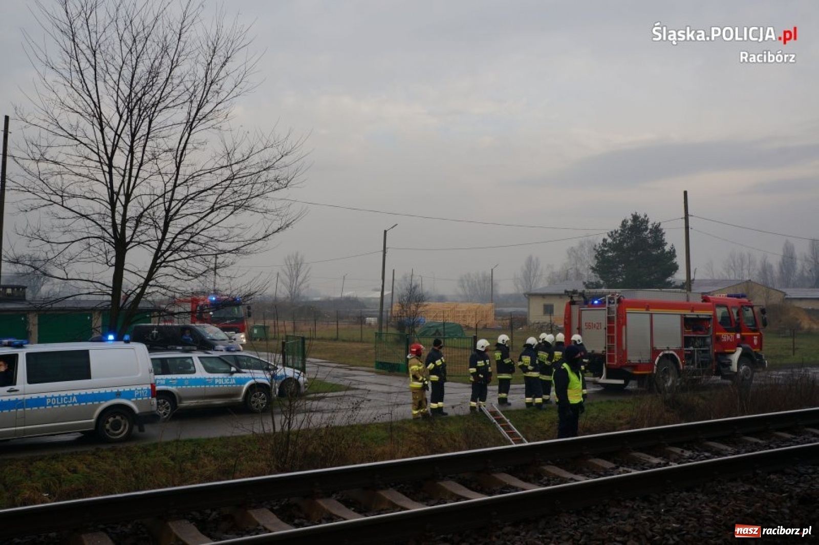 Zdjęcie w galerii na portalu naszraciborz.pl: Śmiertelne potrącenie na trasie Racibórz-Markowice [FOTO] wiadomości z regionu