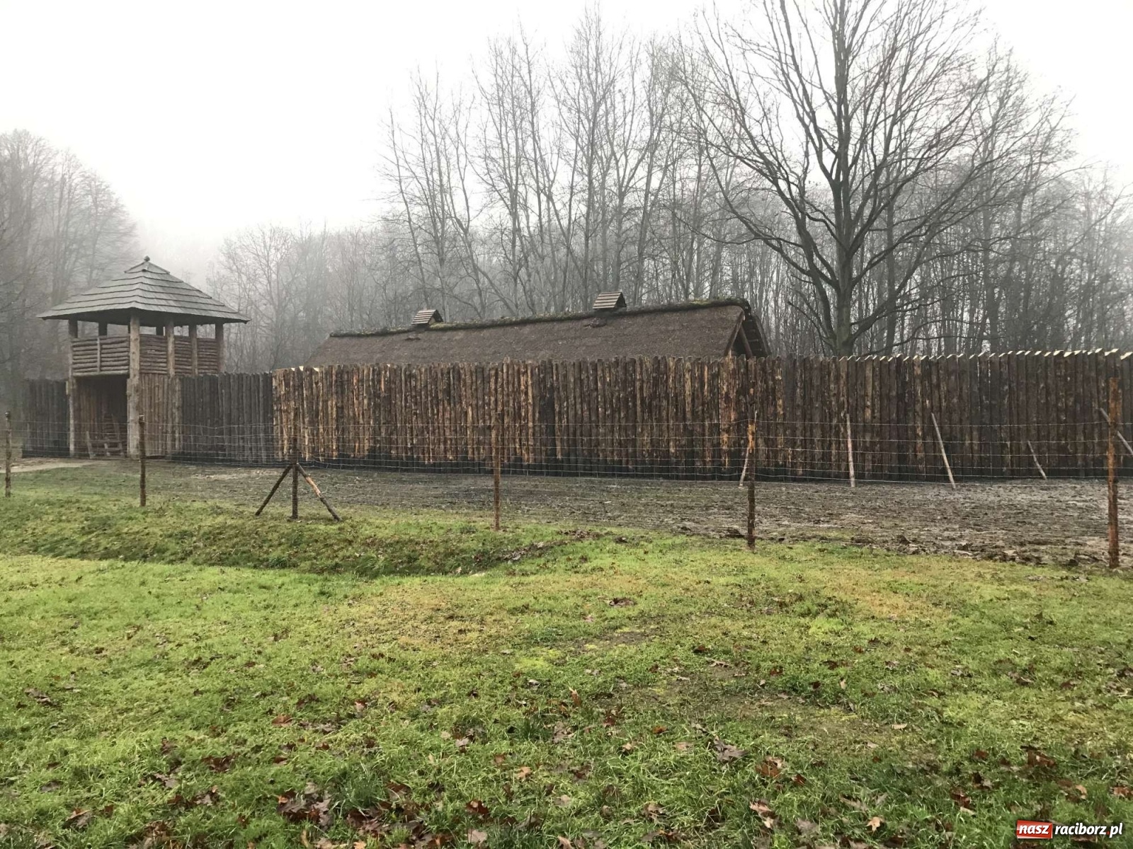 Zdjęcie w galerii na portalu naszraciborz.pl: Przy grodzie pod Oborą stanęła palisada wiadomości z regionu