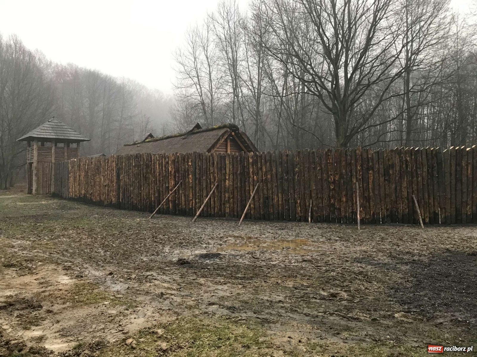 Zdjęcie w galerii na portalu naszraciborz.pl: Przy grodzie pod Oborą stanęła palisada wiadomości z regionu